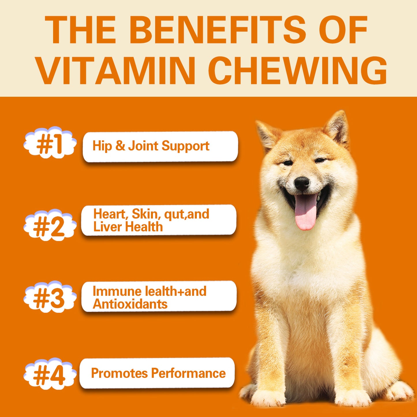 Multifunctional Pet Vitamin Health Chew Gummies