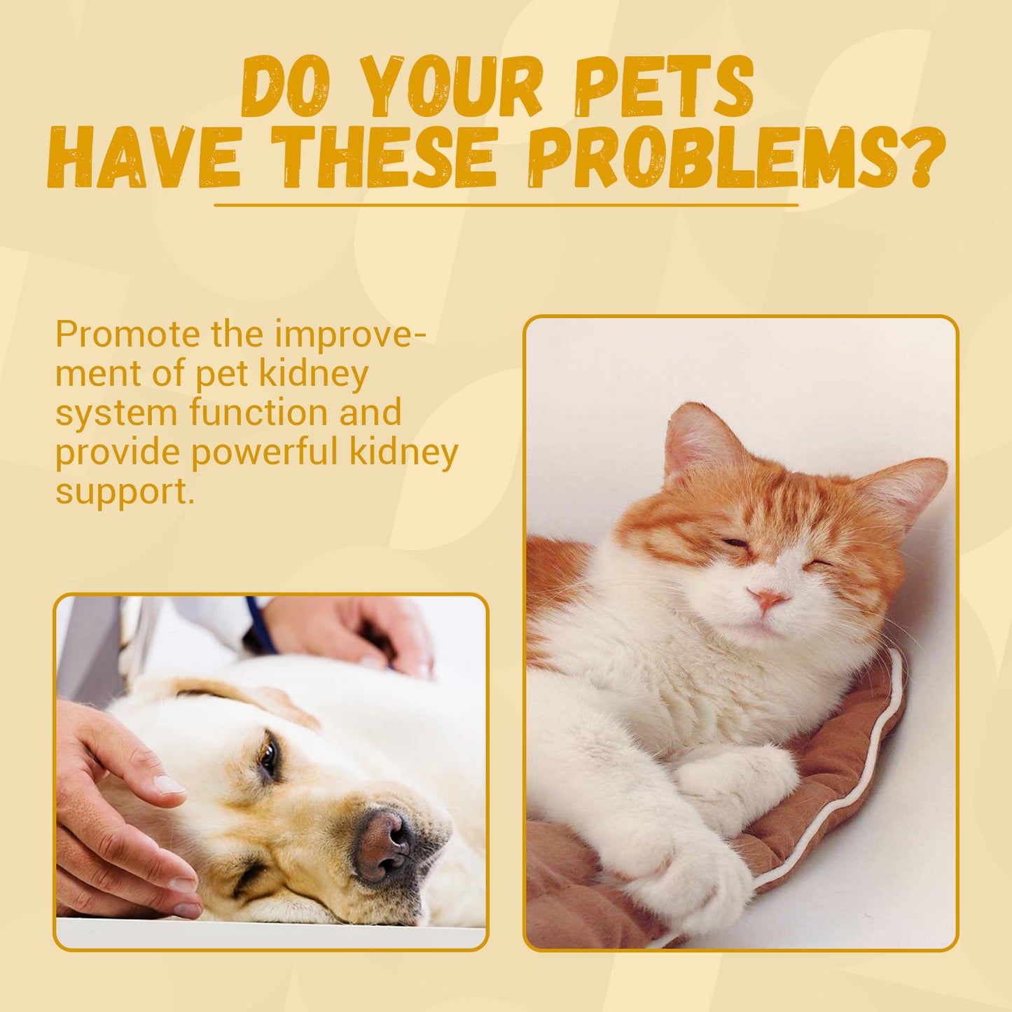 Pet Energy Enhancer Nutritional Supplements