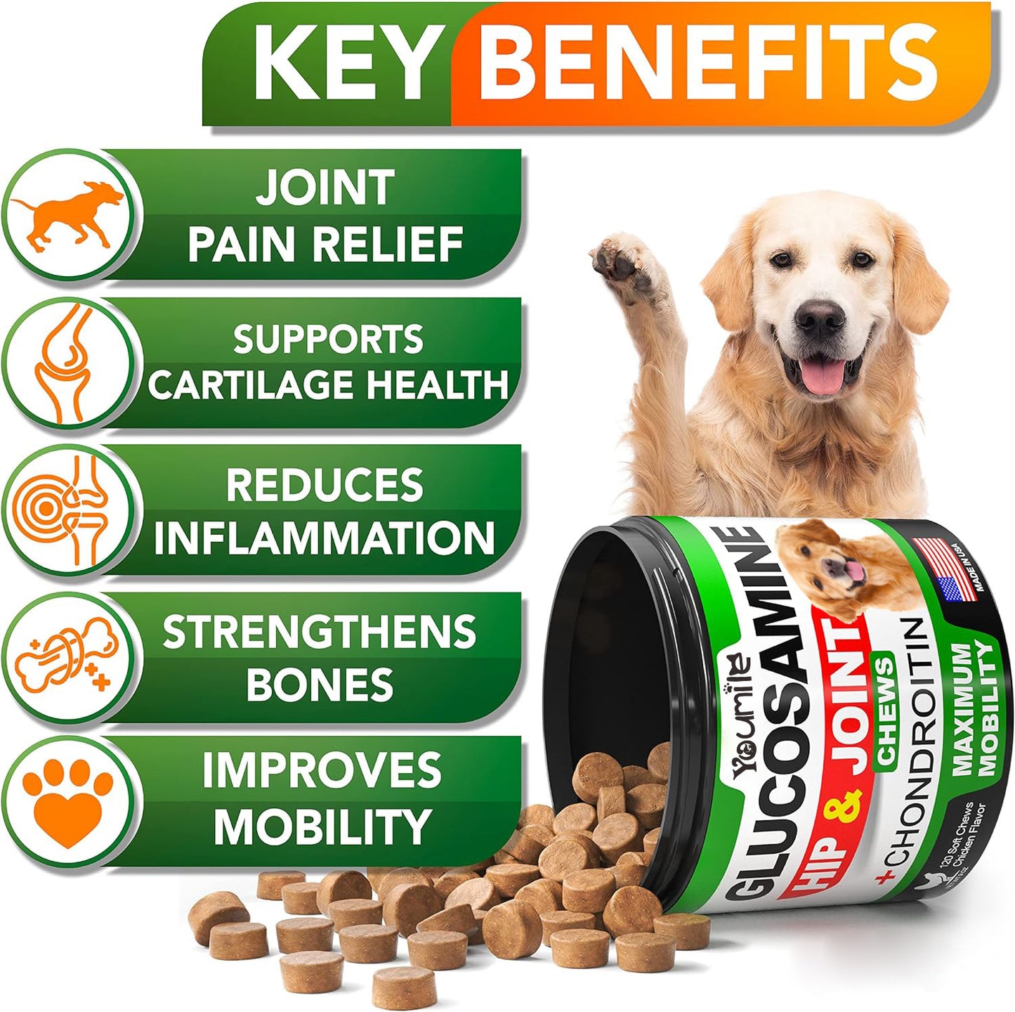 Pet Chondroitin Hip & Joint Supplement