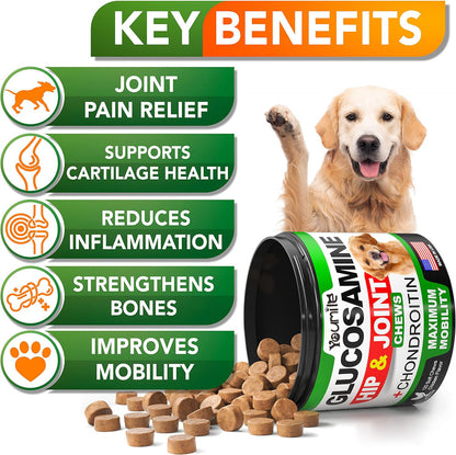 Pet Chondroitin Hip & Joint Supplement