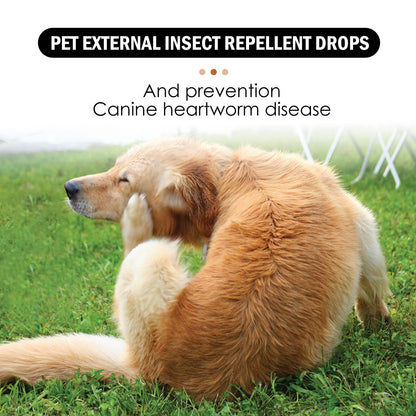 Tick Flea Cleaning Dog Spray Drops