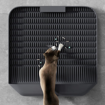 EVA Double Pet Cat Litter Mat