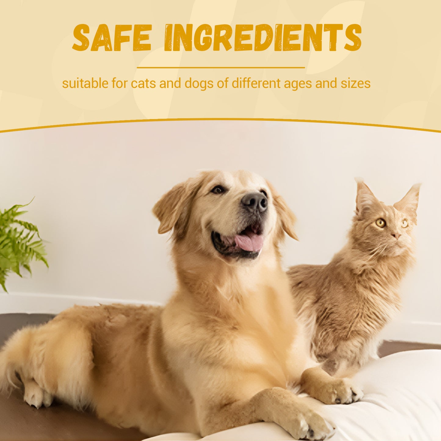 Pet Energy Enhancer Nutritional Supplements