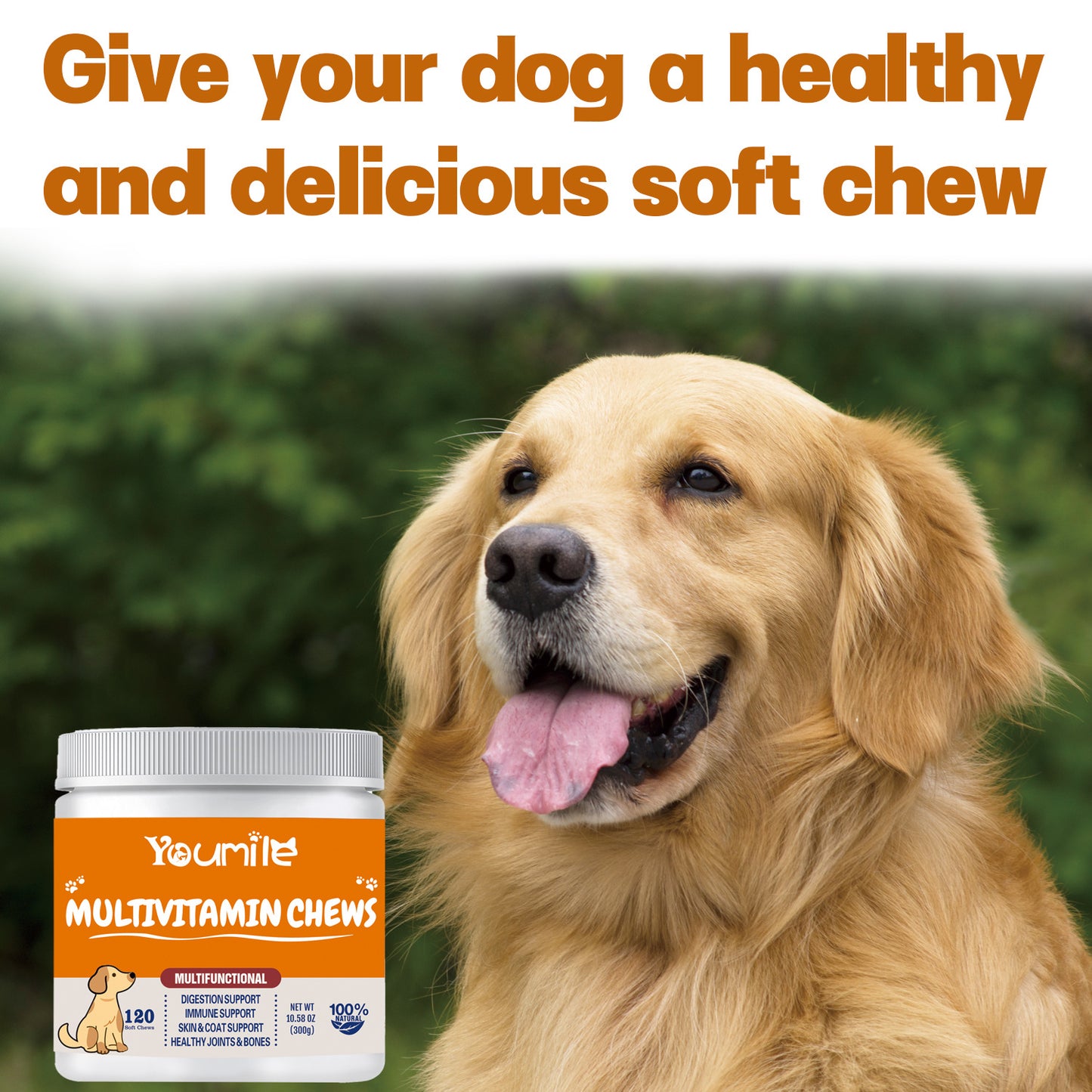 Multifunctional Pet Vitamin Health Chew Gummies