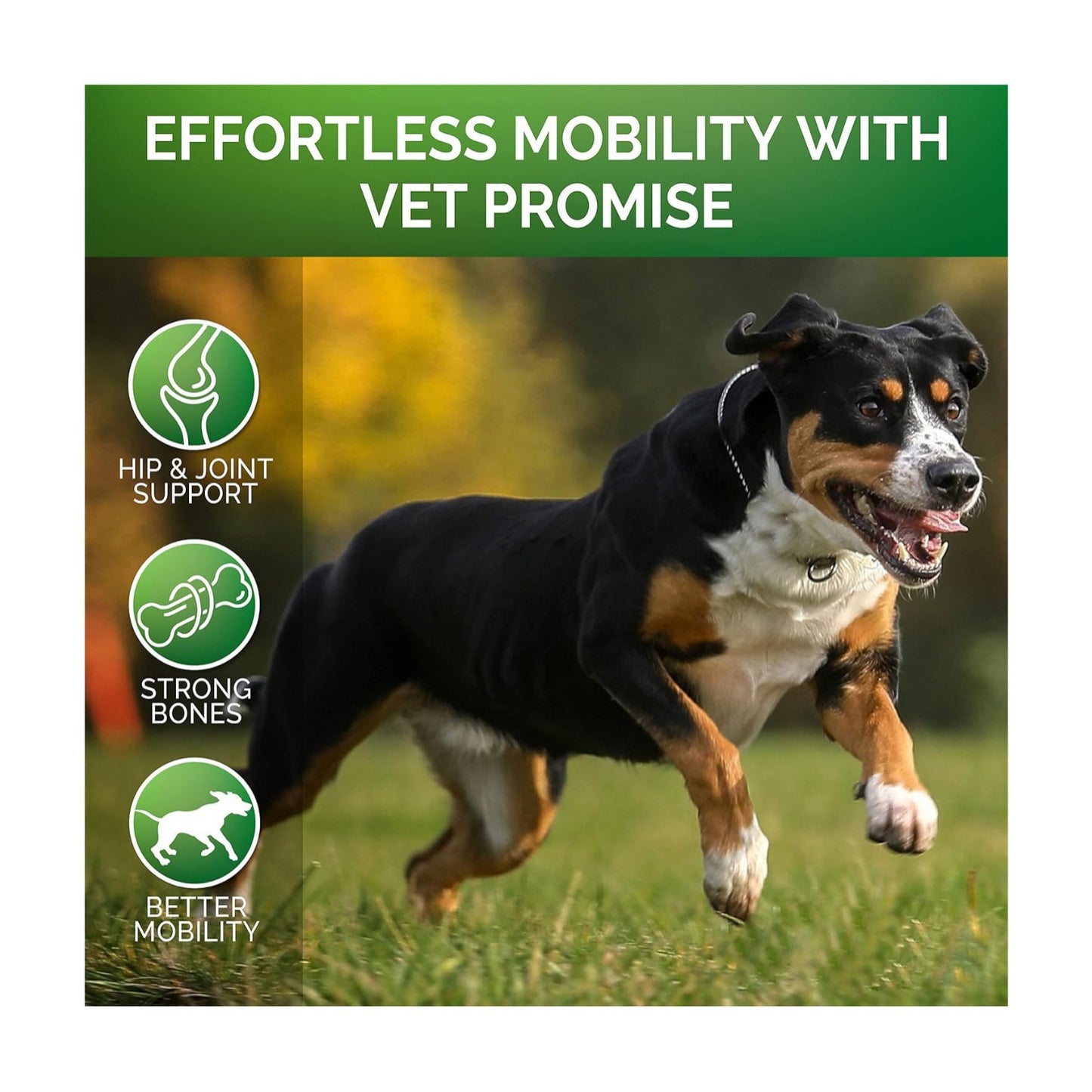 Pet Chondroitin Hip & Joint Supplement
