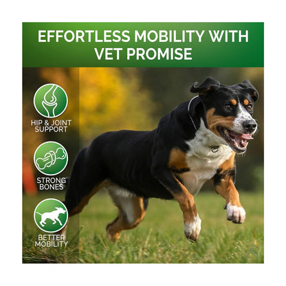 Pet Chondroitin Hip & Joint Supplement
