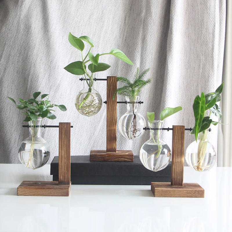 Creative Glass Desktop Planter Bulb