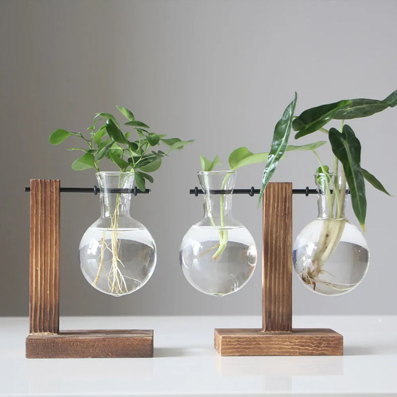 Creative Glass Desktop Planter Bulb