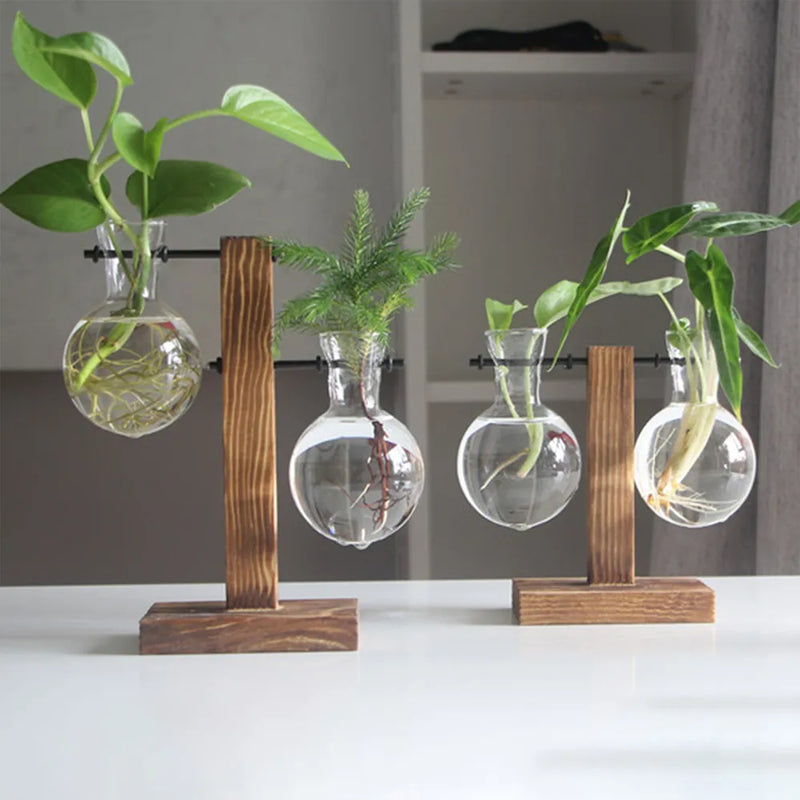 Creative Glass Desktop Planter Bulb