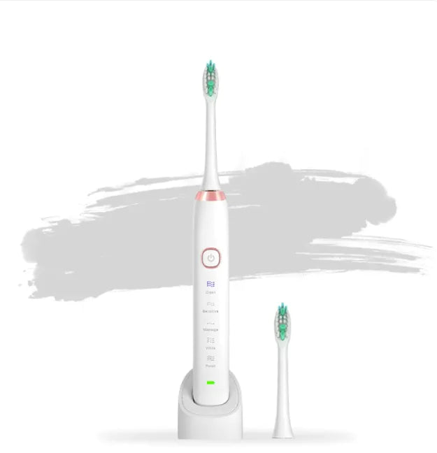 SonicPulse Dental Brush