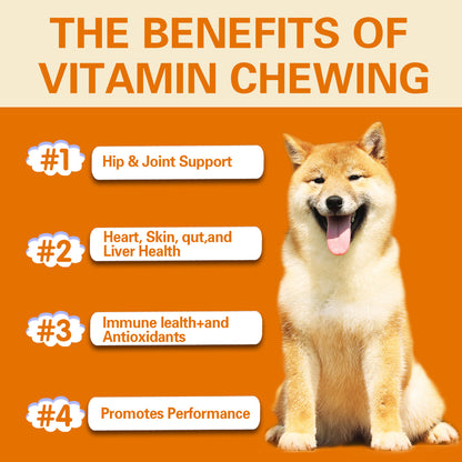 Multifunctional Pet Vitamin Health Chew Gummies