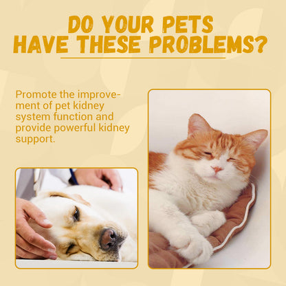 Pet Energy Enhancer Nutritional Supplements